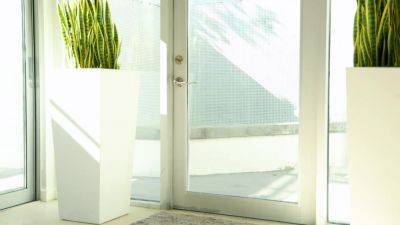 Adalines Audition Net Video Girls - upornia.com