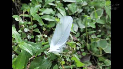 0002842_Japanese_Censored_MGS_19min - upornia.com - Japan