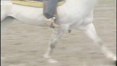 Federica Tommasi In Sodomy Rare Scene - upornia.com