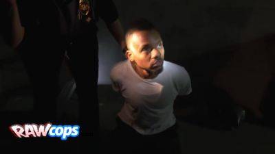 Cat Burglar Pays Restitution In Full - videomanysex.com