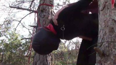 Intercourse In High Heels, Lot Of Screams, Moanings - hclips.com