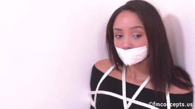 Clipssale Thinks She Found A Bodyguard With Vina Skyy - hotmovs.com