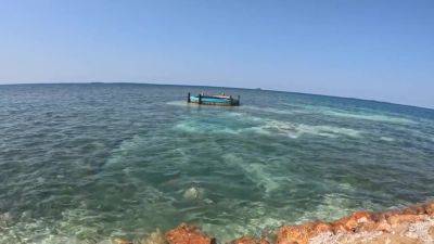 Sex Island 2: Playing In Our Belizian Tree House On The Ocean - hclips.com