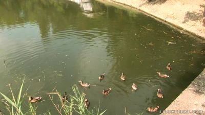 Norma Granny Monster Tit - upornia.com