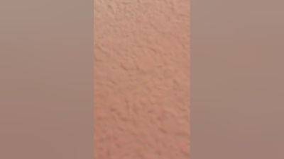 Bsv Creampie - hclips.com