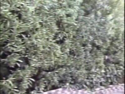 Anal Suggestions - hotmovs.com