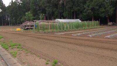 Krs141 Lets Run Away And Mature Woman 09 - videomanysex.com - Japan