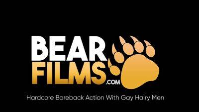 BEARFILMS Hairy Bears Rogue Status And Reid Thrasher Breed - drtuber.com