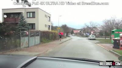 Open for Business - Breedbus - hotmovs.com