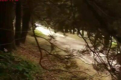 Captives2 Clip 1 - upornia.com