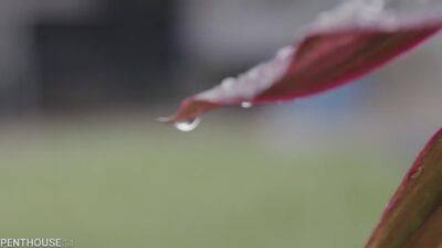 Dont Rush - Rose Monroe - hotmovs.com