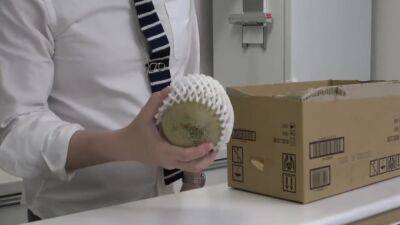 Toka Rinne - The Case Of Capturing A Thief And Rehabilitating Him To Sex - upornia.com - Japan