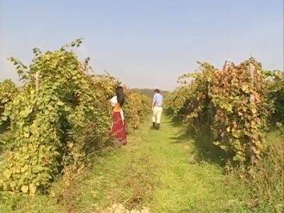 X-treme 1 Bacchanal - upornia.com