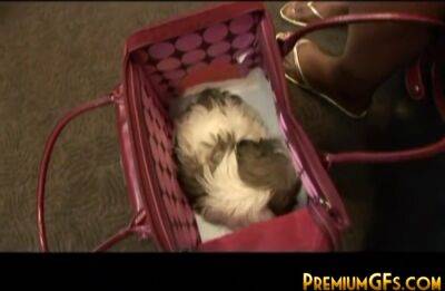 Cute ebony teen slut fucked - hotmovs.com