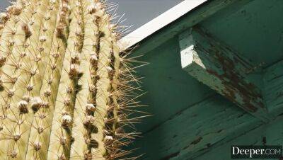 Seth Gamble - Gabbie Carter - Ryan McLane - Seth & Gabbie fuck on car hood while her BF sleeps - xxxfiles.com - Usa