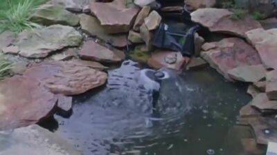 Domestic Maid Service - upornia.com