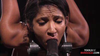 Latina Busty Femslave Suffers 1st Pussy Discipline By Master - upornia.com