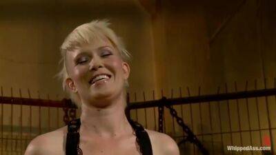 Submission Of - Sasha Knox - upornia.com