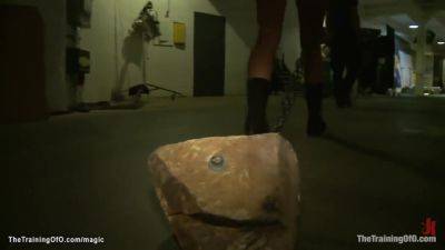 Slave Trainee Sucking Big Dick - upornia.com