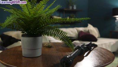 Subdued ebony sub gets whipped by male master - txxx.com