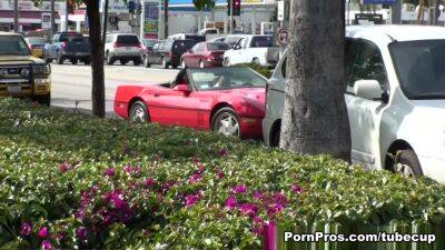 Dumpster Diving - PornPros - hotmovs.com