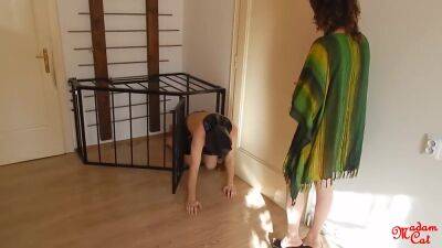 Teaser - Release From The Cage After A Long Time - hclips.com