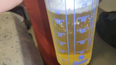 My Small Dog Drinking All Yellow Piss Ii 06/07/2023 - videomanysex.com