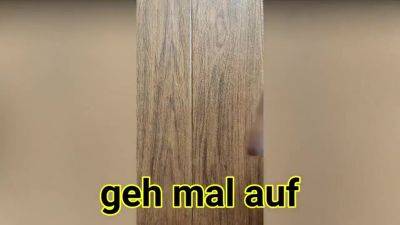 Aletta Ocean In Chefin Laesst Sich Von Ihren Angestellten Lecken Und - hotmovs.com