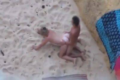 Beach Doggie - hclips.com