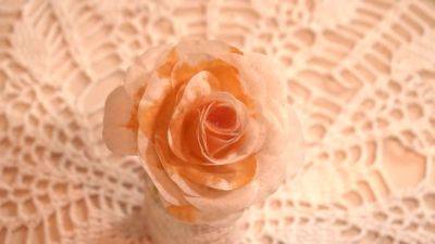 Clara - The Tower 2 - Clara D - hotmovs.com