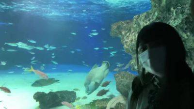 0002345_Japanese_Censored_MGS_19min - hclips.com - Japan