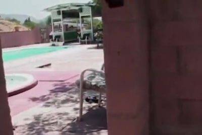 Hood Hoppin 4 Feat. Aleia Tyler - hotmovs.com