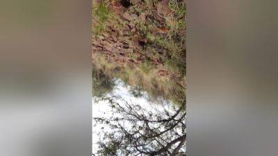 Desi Aunty Outdoor Sex With Boy - desi-porntube.com - India