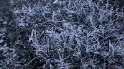 Mano In Fica - hclips.com - Czech Republic