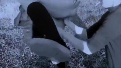 Mano In Fica - hclips.com - Czech Republic