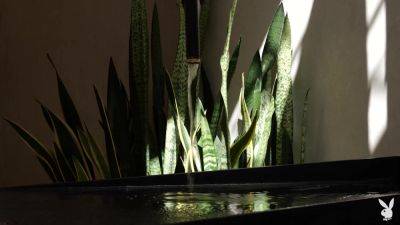 KJ Carter in Shining Through - PlayboyPlus - hotmovs.com