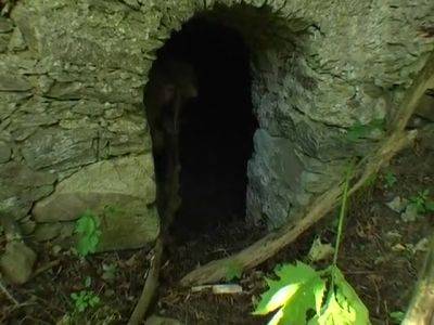 Sexy Tight Pussy Wants A Cock - hotmovs.com