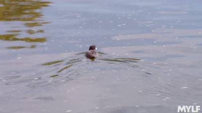 An Ageless Ass - MYLF - hotmovs.com