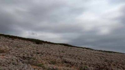 Sirena Sweet In Delicious Anal Creampie To European Pornstar - hclips.com