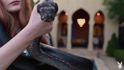 Jessica Lynette Brooks in Daring Desires - PlayboyPlus - hotmovs.com