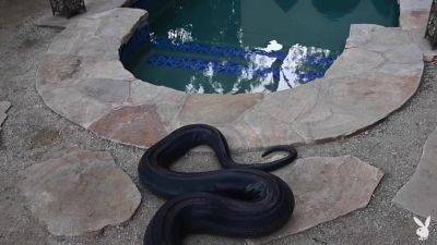 Jessica Lynette Brooks in Daring Desires - PlayboyPlus - hotmovs.com