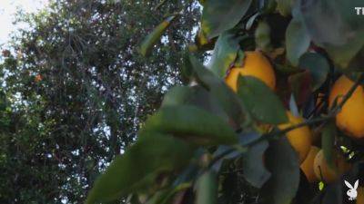 Lauryn Wolfe - Twist Of Lemon - hotmovs.com