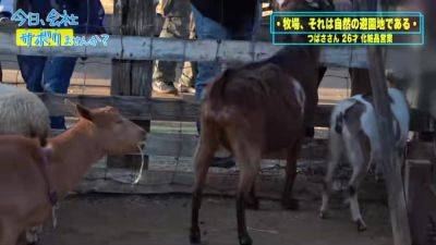 0003553_Japanese_Censored_MGS_19min - txxx.com - Japan