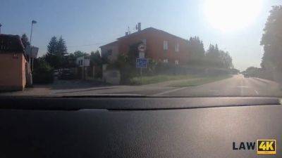 Sofia - Sofia Lee gets her chubby body drilled in park after stealing wallets - sexu.com