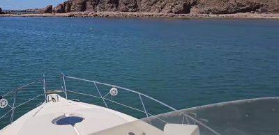 baise avec le capitaine transexuelle du bateau - txxx.com