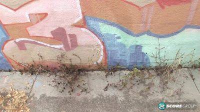 Auto Body - hotmovs.com