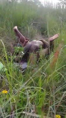 Caught Fucking In The Bush - voyeurhit.com