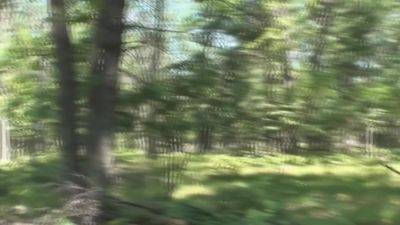 Wonder Tomi 01 - hclips.com