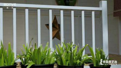 Vr Game - upornia.com - Japan