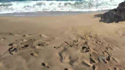 Zaya Cassidy: She'll Sit in Front of You for a Handjob - Amateur, POV - porntry.com